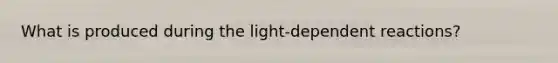 What is produced during the light-dependent reactions?