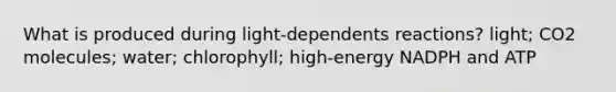 What is produced during light-dependents reactions? light; CO2 molecules; water; chlorophyll; high-energy NADPH and ATP