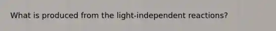 What is produced from the light-independent reactions?