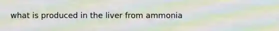 what is produced in the liver from ammonia