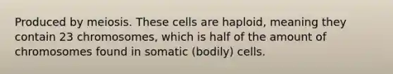 Produced by meiosis. These cells are haploid, meaning they contain 23 chromosomes, which is half of the amount of chromosomes found in somatic (bodily) cells.