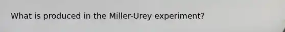 What is produced in the Miller-Urey experiment?