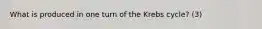 What is produced in one turn of the Krebs cycle? (3)