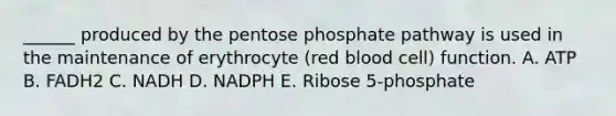 ______ produced by the pentose phosphate pathway is used in the maintenance of erythrocyte (red blood cell) function. A. ATP B. FADH2 C. NADH D. NADPH E. Ribose 5-phosphate