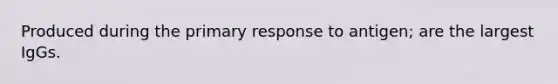 Produced during the primary response to antigen; are the largest IgGs.