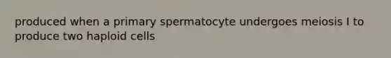 produced when a primary spermatocyte undergoes meiosis I to produce two haploid cells