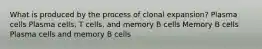 What is produced by the process of clonal expansion? Plasma cells Plasma cells, T cells, and memory B cells Memory B cells Plasma cells and memory B cells