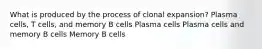 What is produced by the process of clonal expansion? Plasma cells, T cells, and memory B cells Plasma cells Plasma cells and memory B cells Memory B cells