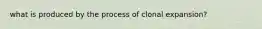 what is produced by the process of clonal expansion?