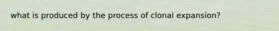 what is produced by the process of clonal expansion?