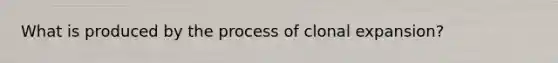 What is produced by the process of clonal expansion?