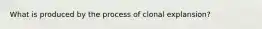 What is produced by the process of clonal explansion?