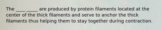 The ____ _____ are produced by protein filaments located at the center of the thick filaments and serve to anchor the thick filaments thus helping them to stay together during contraction.