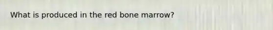 What is produced in the red bone marrow?