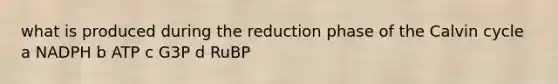 what is produced during the reduction phase of the Calvin cycle a NADPH b ATP c G3P d RuBP