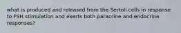 what is produced and released from the Sertoli cells in response to FSH stimulation and exerts both paracrine and endocrine responses?