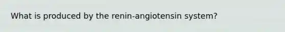 What is produced by the renin-angiotensin system?