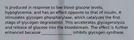 is produced in response to low blood glucose levels, hypoglycemia, and has an effect opposite to that of insulin. It stimulates glycogen phosphorylase, which catalyzes the first stage of glycogen degradation. This accelerates glycogenolysis and release of glucose into the bloodstream. The effect is further enhanced because ________________ inhibits glycogen synthase.