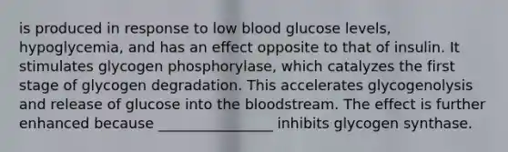 is produced in response to low blood glucose levels, hypoglycemia, and has an effect opposite to that of insulin. It stimulates glycogen phosphorylase, which catalyzes the first stage of glycogen degradation. This accelerates glycogenolysis and release of glucose into the bloodstream. The effect is further enhanced because ________________ inhibits glycogen synthase.