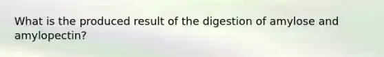 What is the produced result of the digestion of amylose and amylopectin?