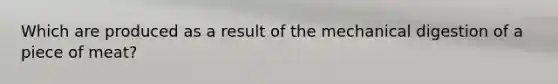 Which are produced as a result of the mechanical digestion of a piece of meat?