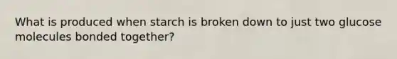 What is produced when starch is broken down to just two glucose molecules bonded together?