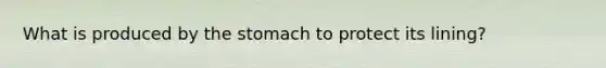 What is produced by the stomach to protect its lining?