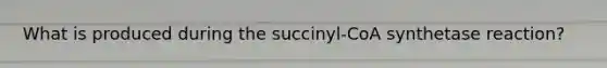 What is produced during the succinyl-CoA synthetase reaction?