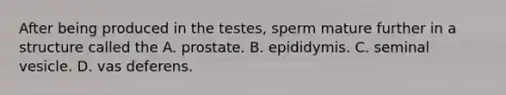 After being produced in the testes, sperm mature further in a structure called the A. prostate. B. epididymis. C. seminal vesicle. D. vas deferens.