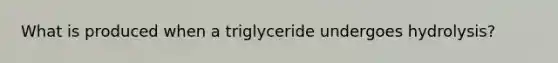 What is produced when a triglyceride undergoes hydrolysis?