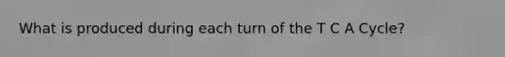 What is produced during each turn of the T C A Cycle?