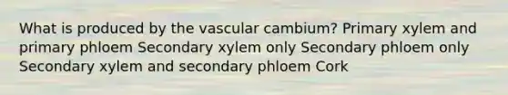 What is produced by the vascular cambium? Primary xylem and primary phloem Secondary xylem only Secondary phloem only Secondary xylem and secondary phloem Cork