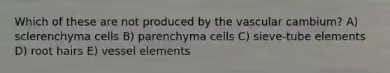 Which of these are not produced by the vascular cambium? A) sclerenchyma cells B) parenchyma cells C) sieve-tube elements D) root hairs E) vessel elements