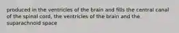 produced in the ventricles of the brain and fills the central canal of the spinal cord, the ventricles of the brain and the suparachnoid space