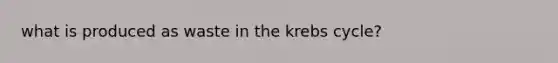 what is produced as waste in the krebs cycle?