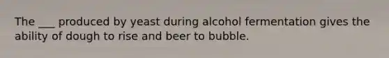 The ___ produced by yeast during alcohol fermentation gives the ability of dough to rise and beer to bubble.