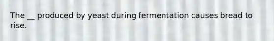 The __ produced by yeast during fermentation causes bread to rise.