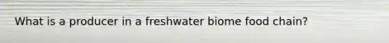 What is a producer in a freshwater biome food chain?