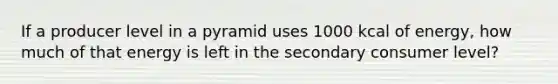 If a producer level in a pyramid uses 1000 kcal of energy, how much of that energy is left in the secondary consumer level?
