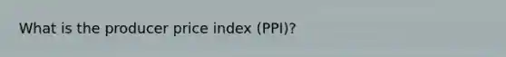 What is the producer price index (PPI)?