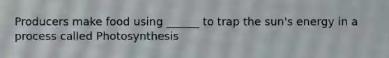 Producers make food using ______ to trap the sun's energy in a process called Photosynthesis
