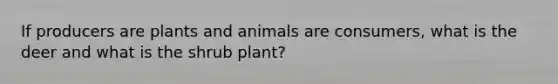 If producers are plants and animals are consumers, what is the deer and what is the shrub plant?