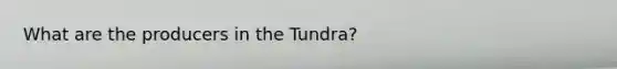 What are the producers in the Tundra?