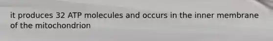it produces 32 ATP molecules and occurs in the inner membrane of the mitochondrion