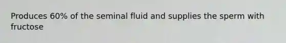 Produces 60% of the seminal fluid and supplies the sperm with fructose