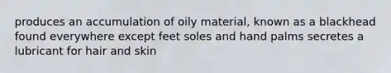 produces an accumulation of oily material, known as a blackhead found everywhere except feet soles and hand palms secretes a lubricant for hair and skin