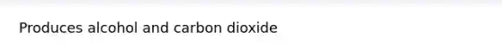 Produces alcohol and carbon dioxide