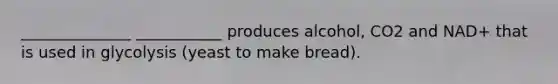 ______________ ___________ produces alcohol, CO2 and NAD+ that is used in glycolysis (yeast to make bread).