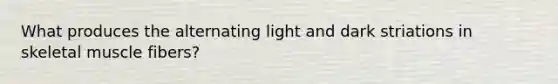 What produces the alternating light and dark striations in skeletal muscle fibers?