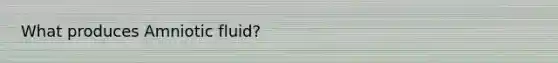 What produces Amniotic fluid?